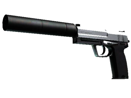 StatTrak™ USP-S | Stainless (Minimal Wear)