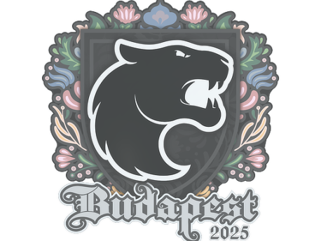 Sticker | FURIA | Budapest 2025 CS2 (CS:GO) | Buy, Sell, Price — Market ...