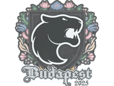 Sticker | FURIA | Budapest 2025
