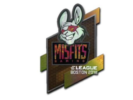Sticker | Misfits Gaming | Boston 2018 () CS2 (CS:GO) | Price on Market ...