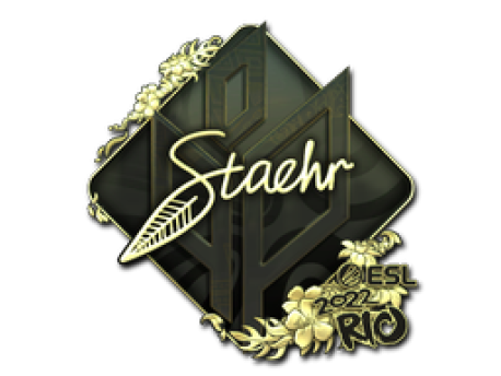 Sticker | Staehr | Rio 2022 () CS2 (CS:GO) | Price on Market CS:GO