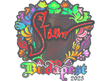Sticker | Staehr | Budapest 2025 CS2 (CS:GO) | Buy, Sell, Price ...