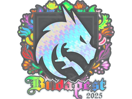 Sticker | Team Spirit (Holo) | Budapest 2025