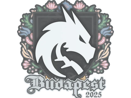 Sticker | Team Spirit | Budapest 2025