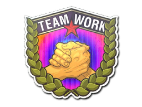 Sticker | Teamwork () CS2 (CS:GO) | Price on Market CS:GO