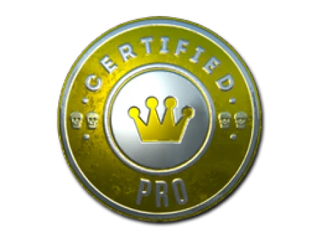 Sticker | The Pro (Foil)