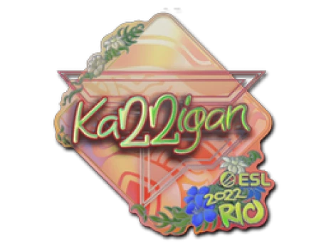 Sticker | karrigan (Holo) | Rio 2022