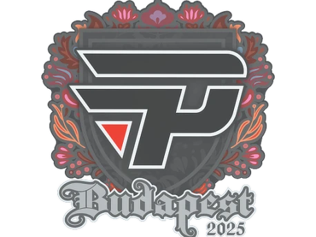 Sticker | paiN Gaming | Budapest 2025