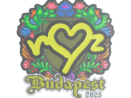 Sticker | ropz | Budapest 2025 () CS2 (CS:GO) | Price on Market CS:GO