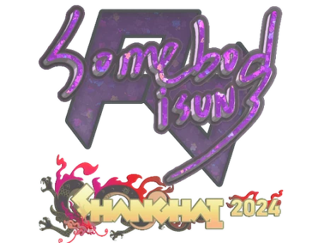 Sticker | somebody | Shanghai 2024 () CS2 (CS:GO) | Price on Market CS:GO