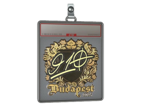 Sticker Slab | 910 (Gold) | Budapest 2025