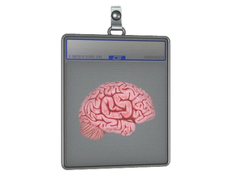 Sticker Slab | CS On The Mind