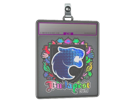 Sticker Slab | FURIA (Holo) | Budapest 2025