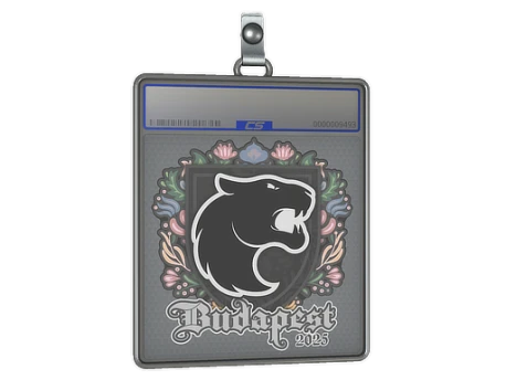 Sticker Slab | FURIA | Budapest 2025