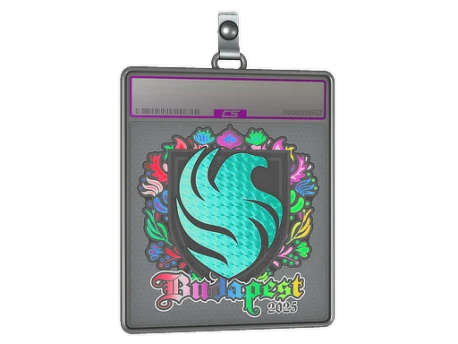 Sticker Slab | Falcons (Holo) | Budapest 2025