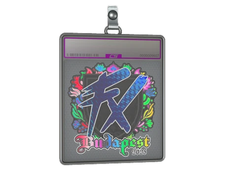 Sticker Slab | Fluxo (Holo) | Budapest 2025