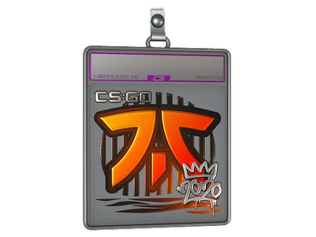 Sticker Slab | Fnatic (Foil) | 2020 RMR