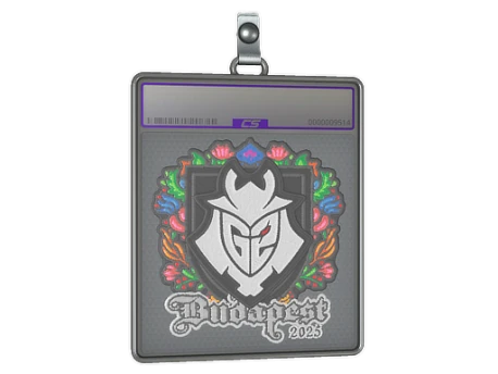 Sticker Slab | G2 esports (Embroidered) | Budapest 2025
