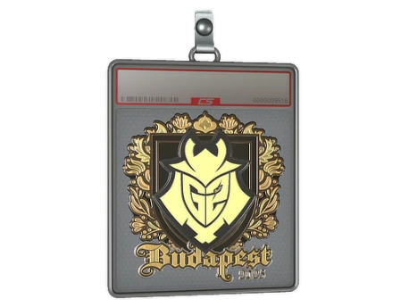 Sticker Slab | G2 esports (Gold) | Budapest 2025