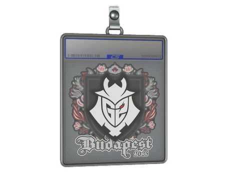 Sticker Slab | G2 esports | Budapest 2025