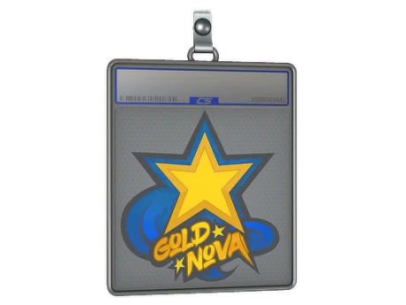 Sticker Slab | Gold Nova