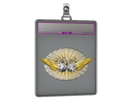 Sticker Slab | Luck Skill (Foil)