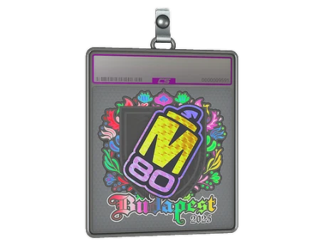 Sticker Slab | M80 (Holo) | Budapest 2025