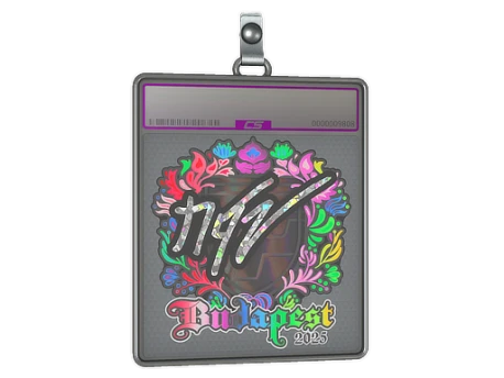 Sticker Slab | NQZ (Holo) | Budapest 2025