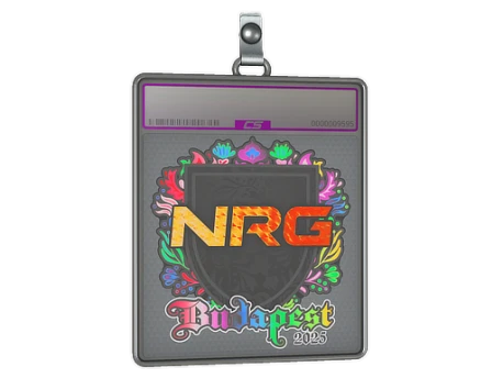 Sticker Slab | NRG (Holo) | Budapest 2025