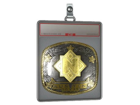 Sticker Slab | Nemiga (Gold) | Austin 2025