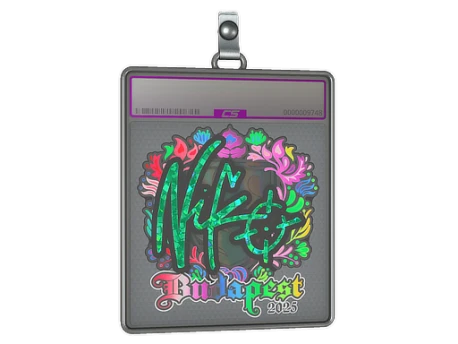 Sticker Slab | NiKo (Holo) | Budapest 2025