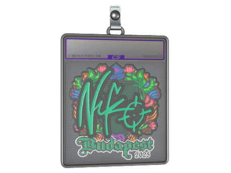 Sticker Slab | NiKo | Budapest 2025 CS2 (CS:GO) | Buy, Sell, Price ...