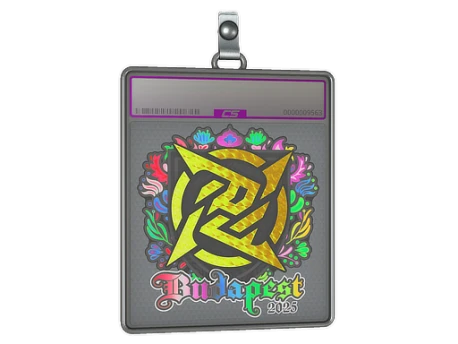 Sticker Slab | Ninjas in Pyjamas (Holo) | Budapest 2025