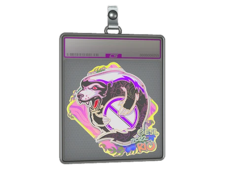 Sticker Slab | Outsiders (Holo) | Rio 2022