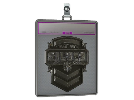 Sticker Slab | Silver (Foil)