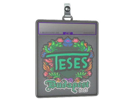 Sticker Slab | TeSeS (Embroidered) | Budapest 2025