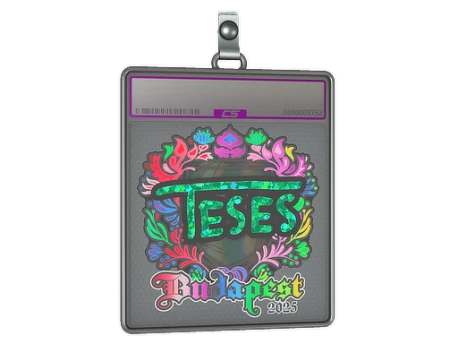 Sticker Slab | TeSeS (Holo) | Budapest 2025