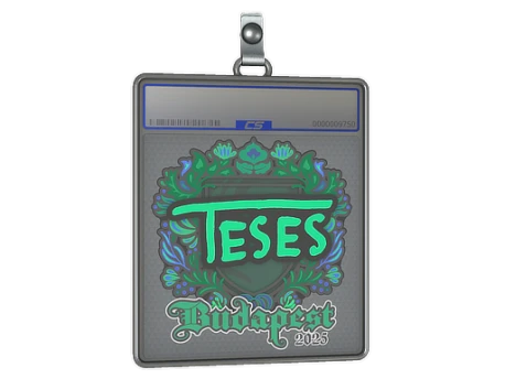 Sticker Slab | TeSeS | Budapest 2025