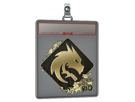 Sticker Slab | Team Spirit (Gold) | Rio 2022