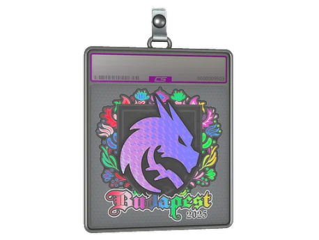 Sticker Slab | Team Spirit (Holo) | Budapest 2025
