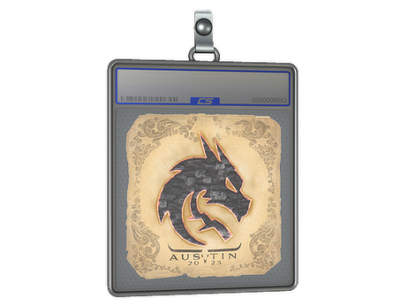 Sticker Slab | Team Spirit | Austin 2025