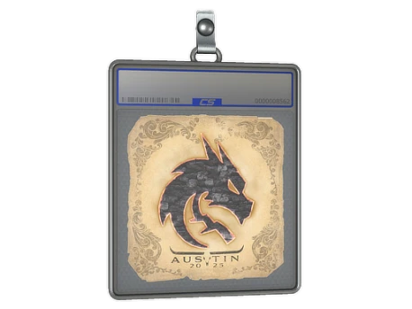 Sticker Slab | Team Spirit | Austin 2025