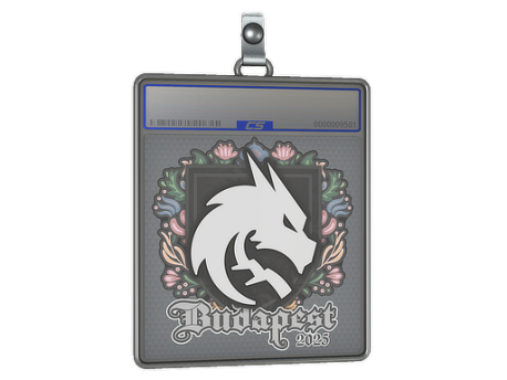 Sticker Slab | Team Spirit | Budapest 2025