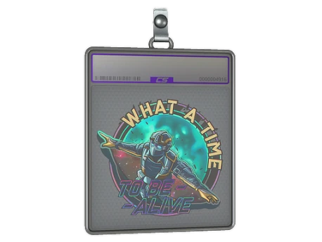 Sticker Slab | Wingsuit (Holo)