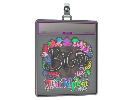 Sticker Slab | biguzera (Holo) | Budapest 2025