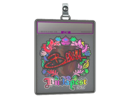 Sticker Slab | bodyy (Holo) | Budapest 2025