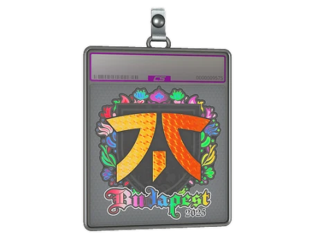 Sticker Slab | fnatic (Holo) | Budapest 2025