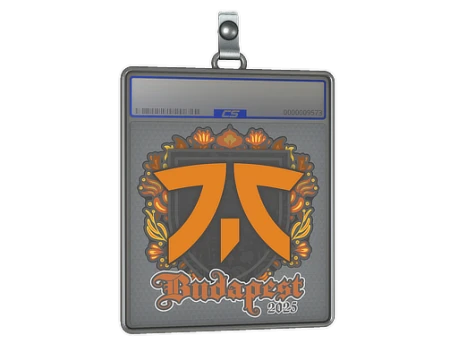 Sticker Slab | fnatic | Budapest 2025