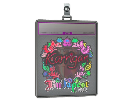 Sticker Slab | karrigan (Holo) | Budapest 2025