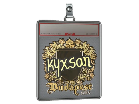 Sticker Slab | kyxsan (Gold) | Budapest 2025